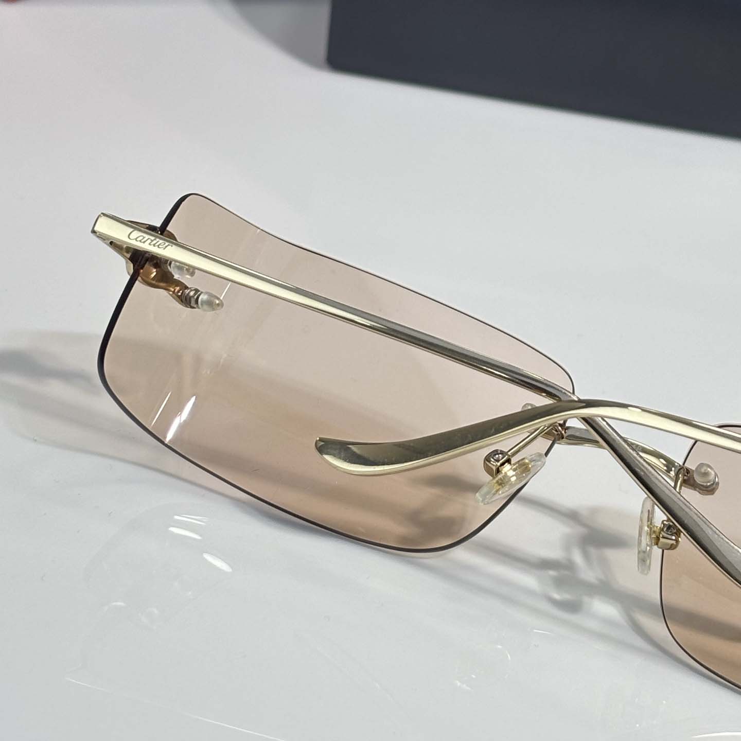 Cartier CT0503S Sunglasses    - FashionPlug