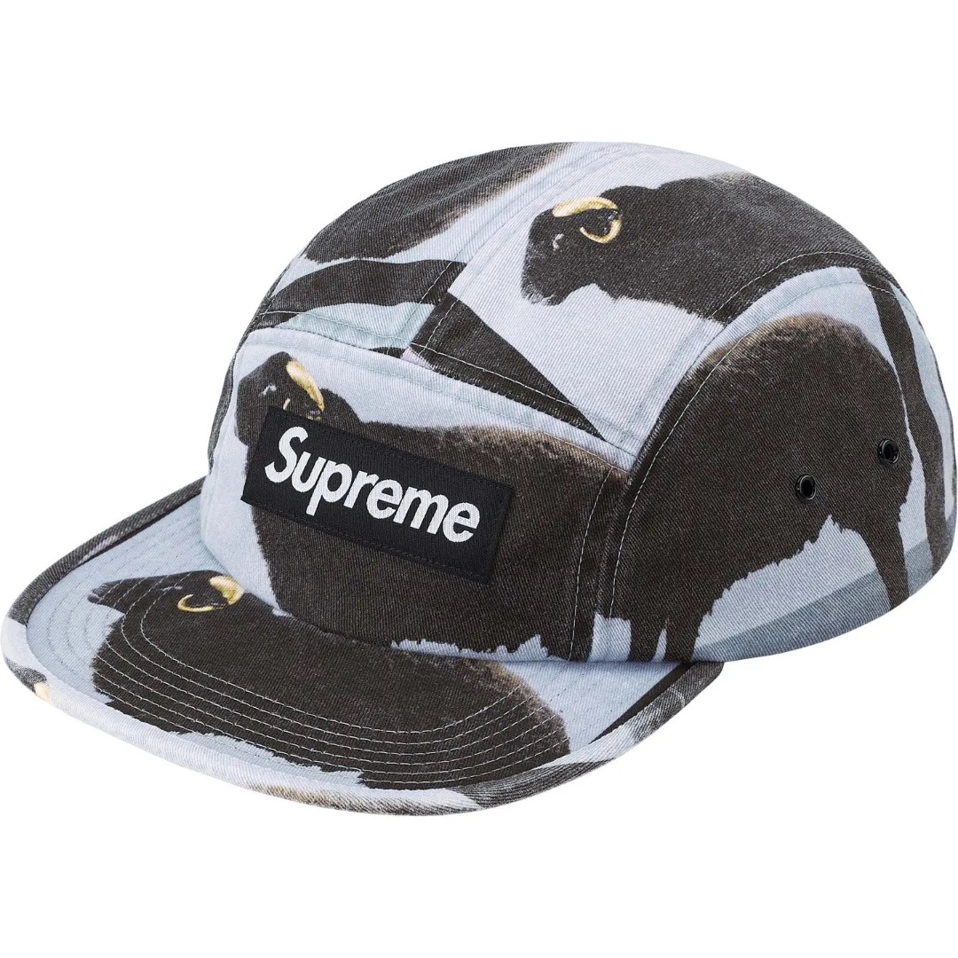 Supreme x Damien Hirst Camp Cap 'Black' - FashionPlug