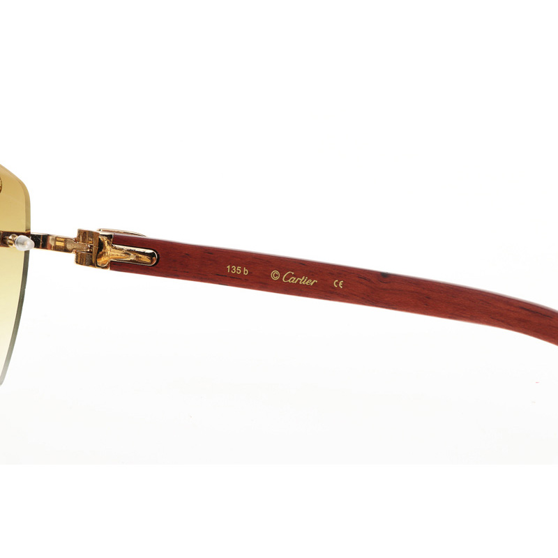 Cartier CT 4189706 Wood Sunglasses In Gold Gradient Brown - FashionPlug