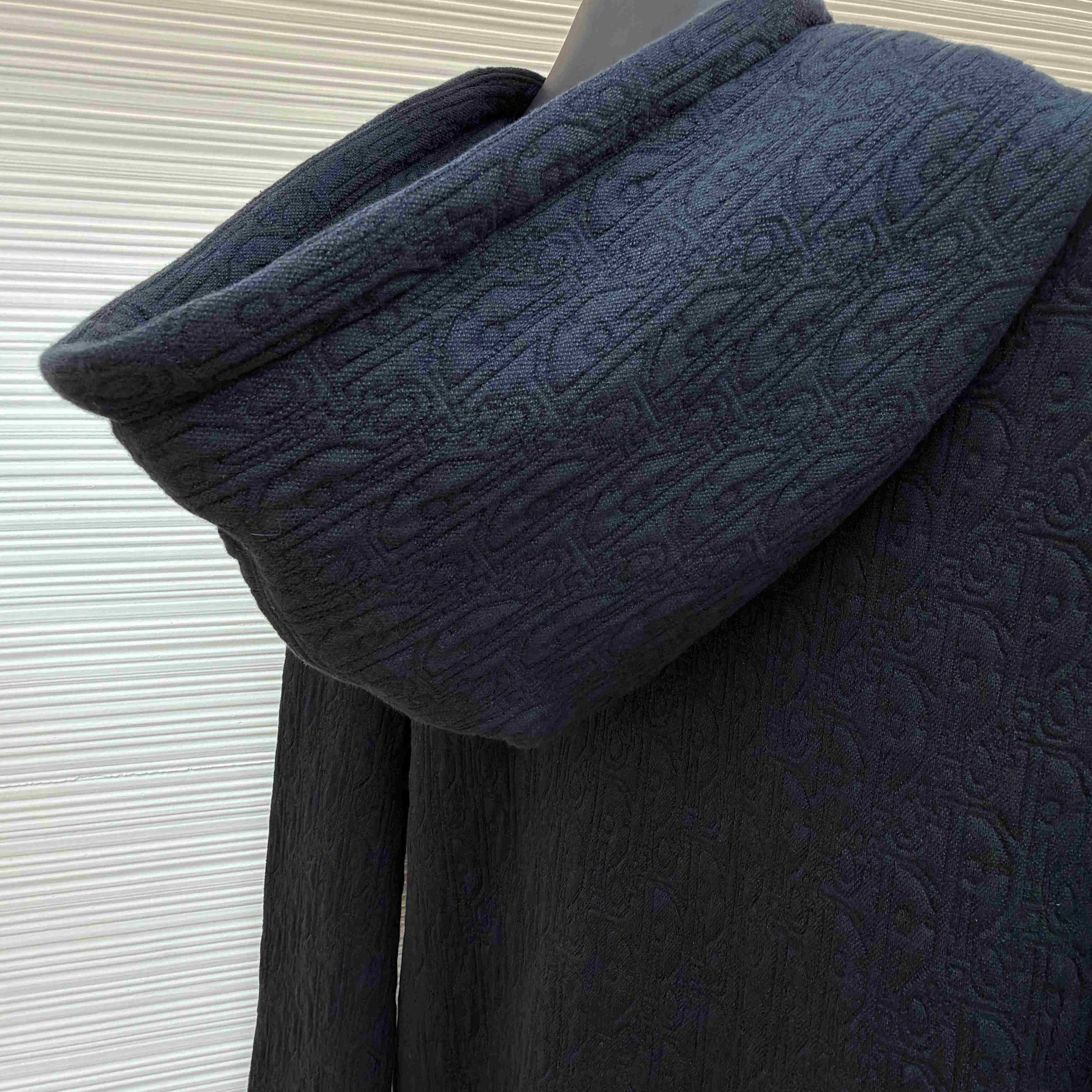 Dior Oblique Hooded Sweatshirt - FashionPlug