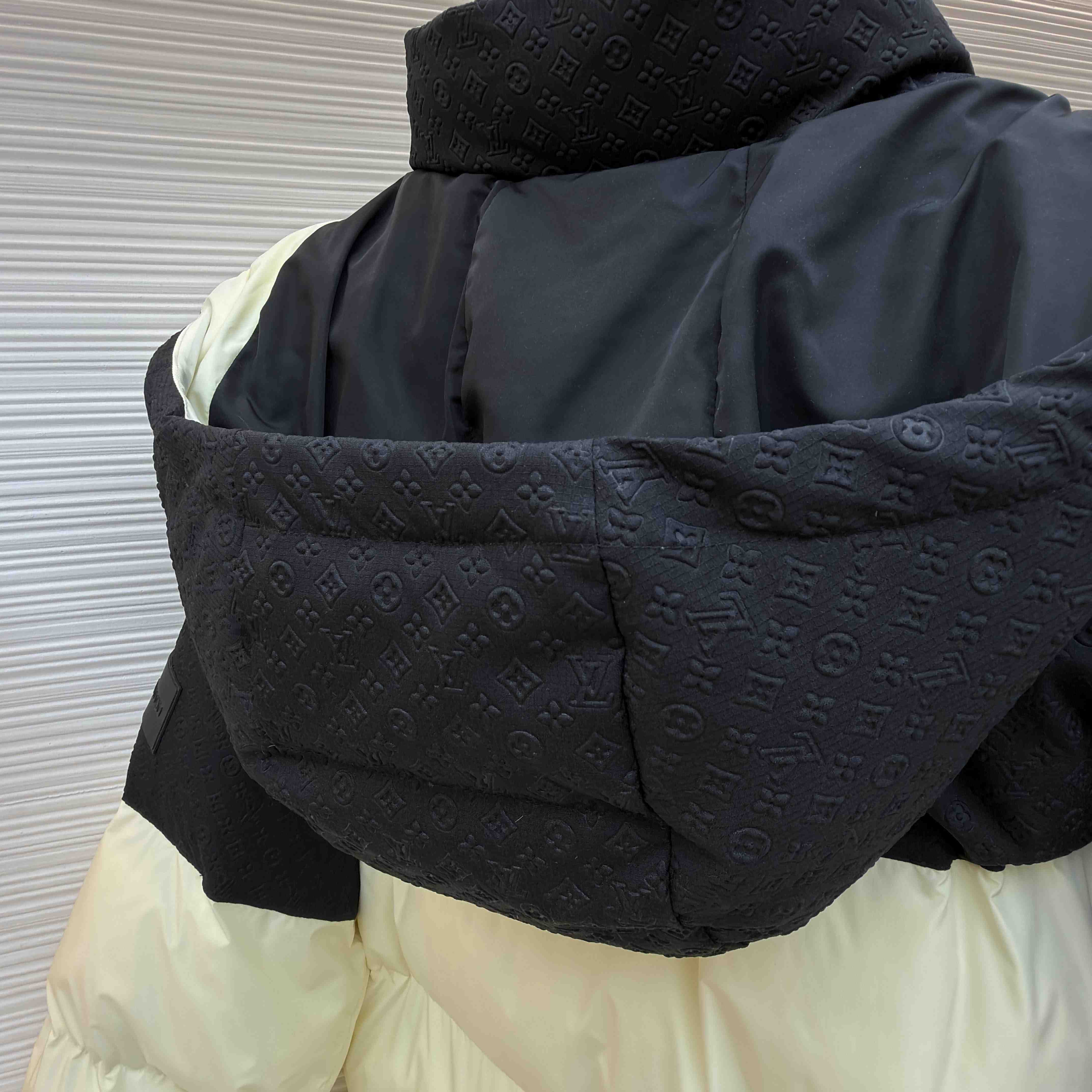 Louis Vuitton Placed Monogram Ecodown Blouson 1AJAZR - FashionPlug