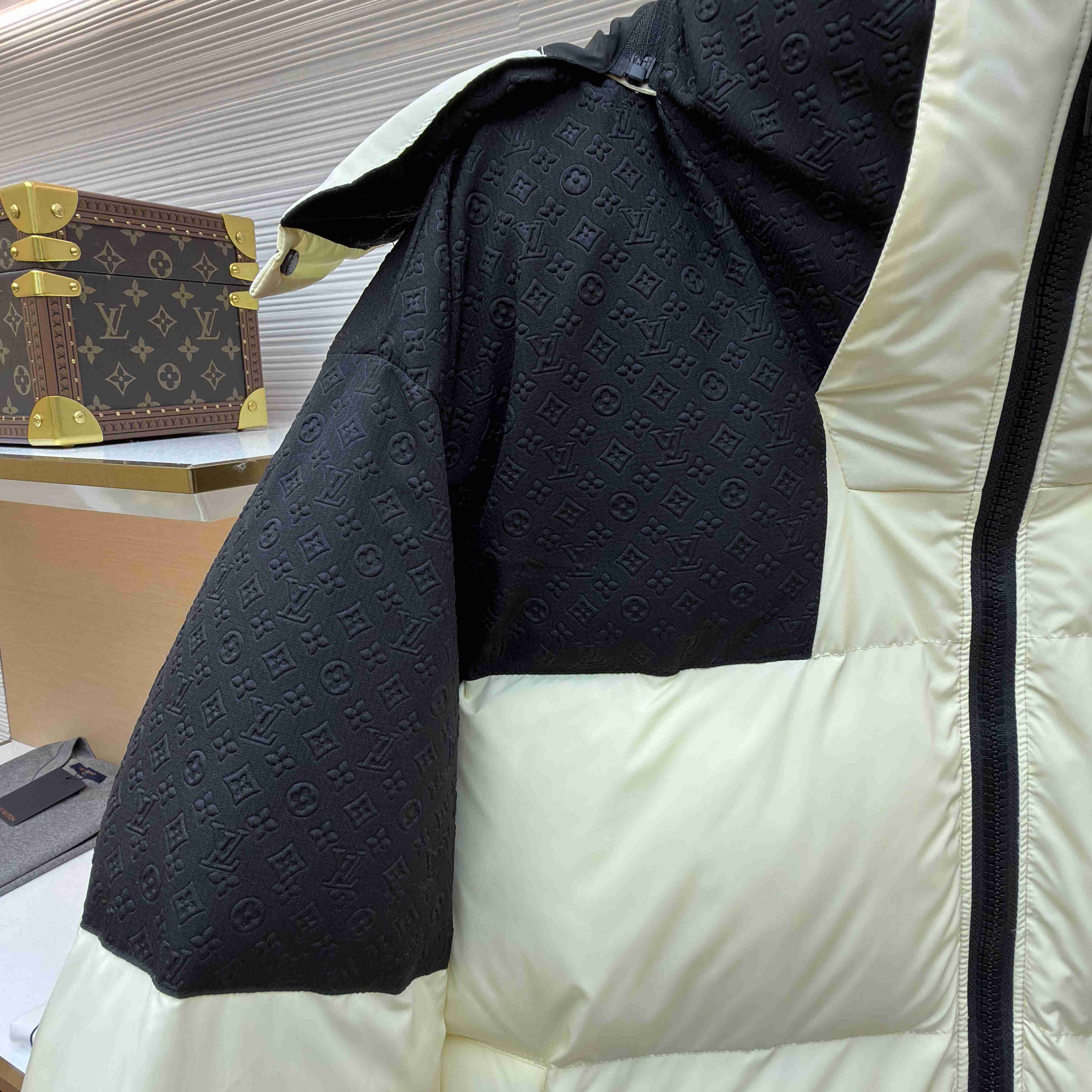 Louis Vuitton Placed Monogram Ecodown Blouson 1AJAZR - FashionPlug