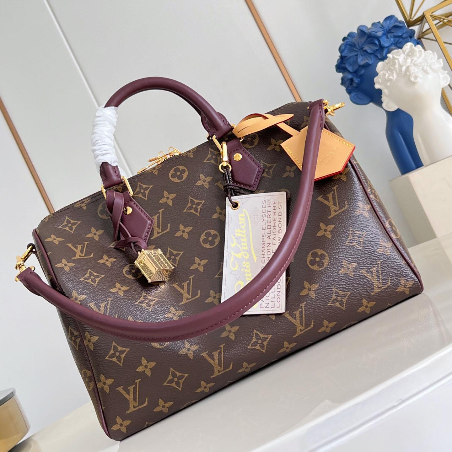 Louis Vuitton Speedy 30 Soft Celebration M28379 - FashionPlug