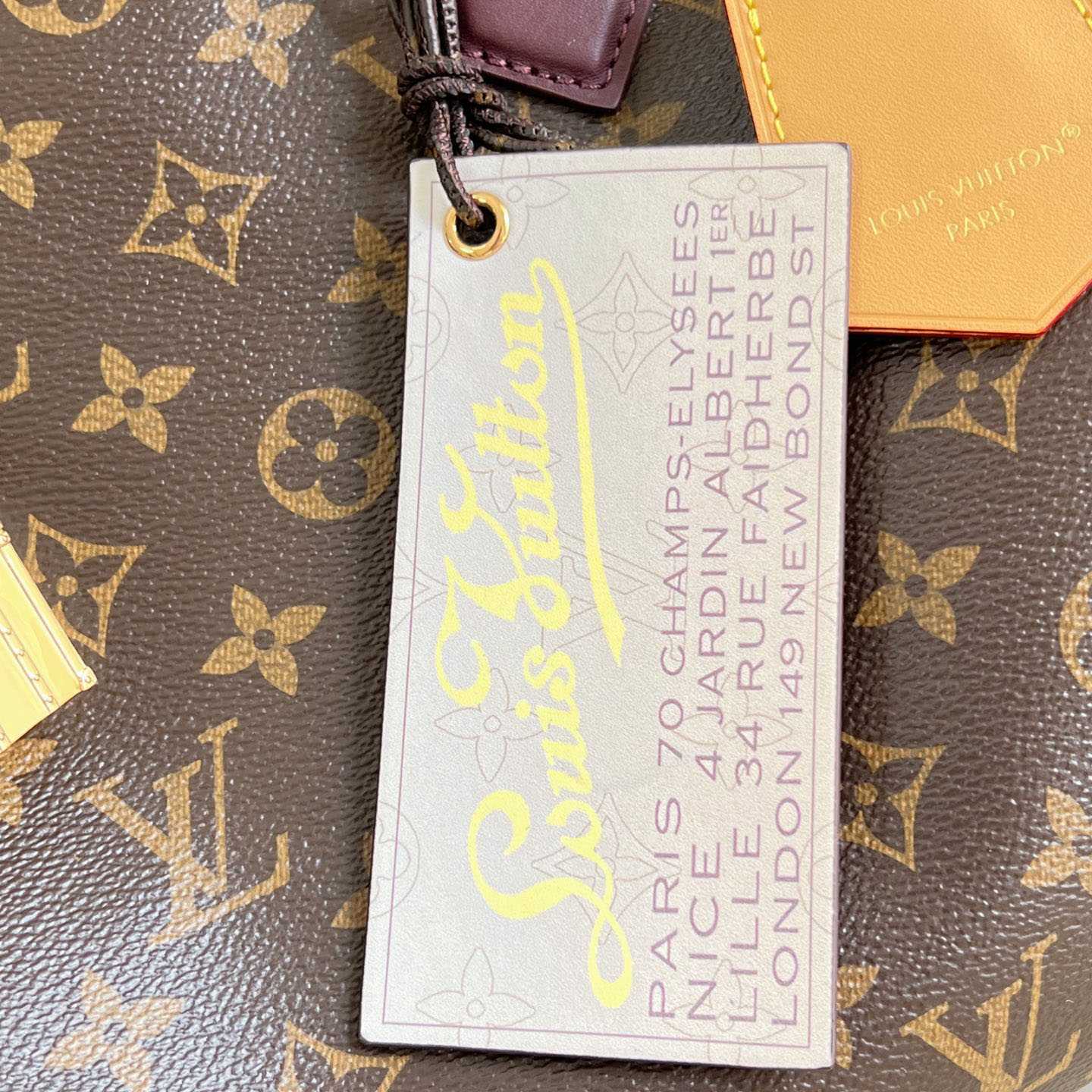 Louis Vuitton Speedy 30 Soft Celebration M28379 - FashionPlug