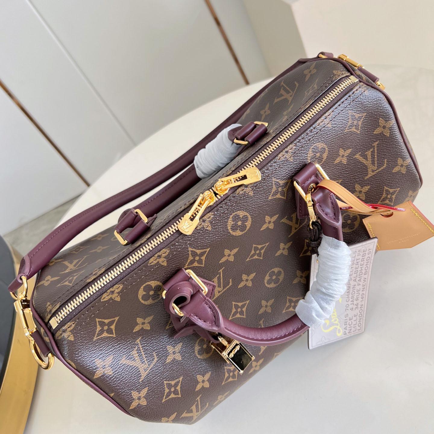Louis Vuitton Speedy 30 Soft Celebration M28379 - FashionPlug