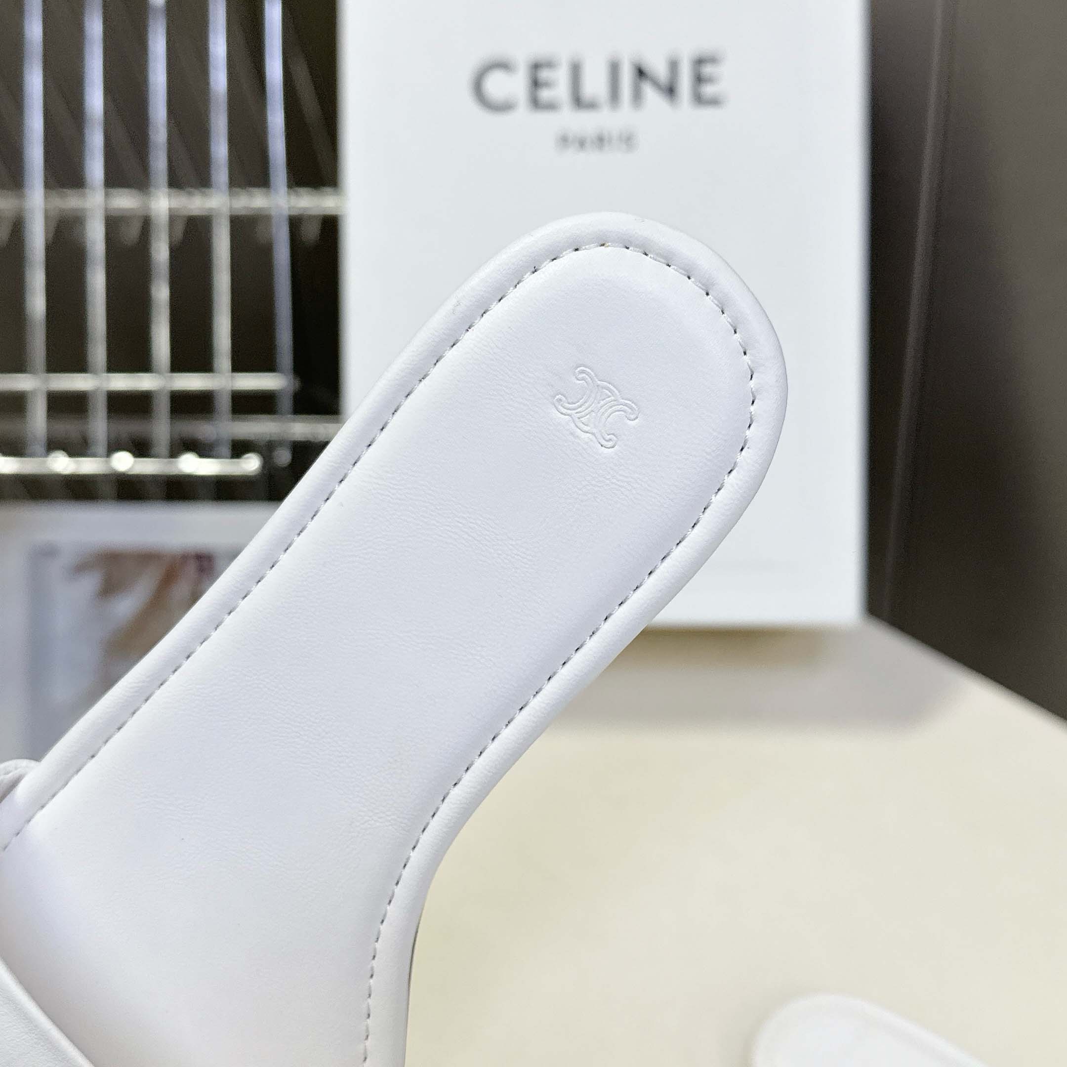 Celine Coast Mule In Lambskin - FashionPlug