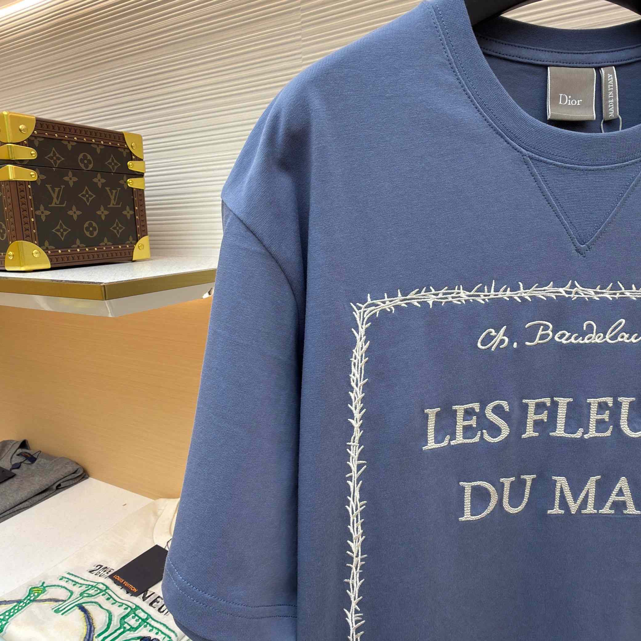 Dior T-Shirt With Book Cover Embroidery, Relaxed Fit - FashionPlug