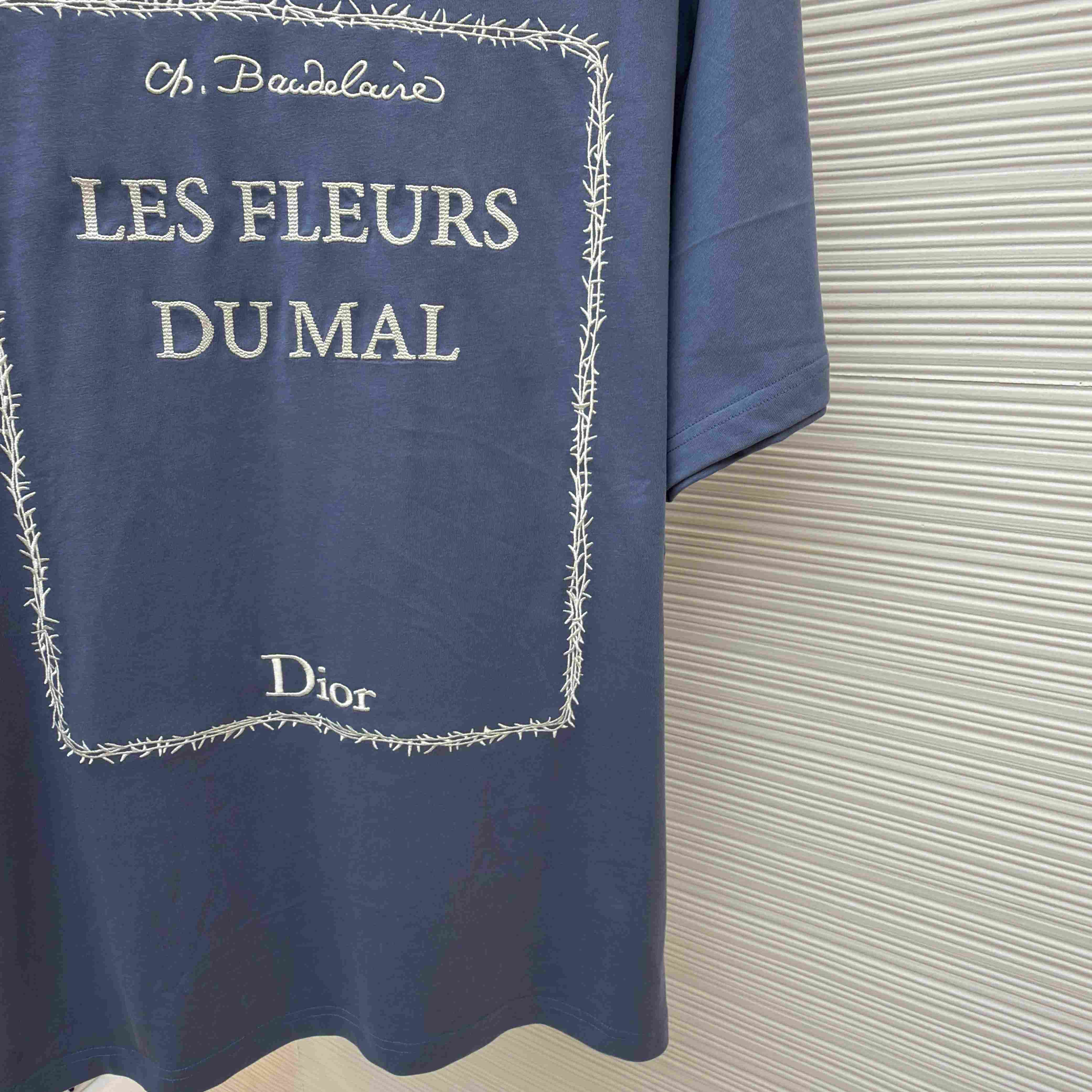 Dior T-Shirt With Book Cover Embroidery, Relaxed Fit - FashionPlug