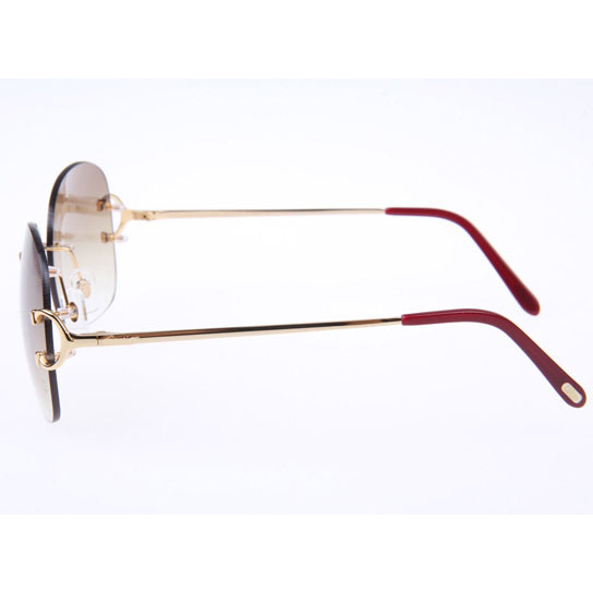 Cartier CT 4193829 Sunglasses In Gold Gradient Brown - FashionPlug