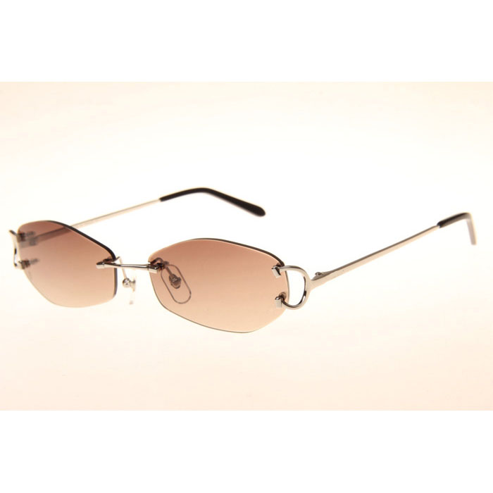 Cartier CT 4193831 Sunglasses In Silver Gradient Brown - FashionPlug