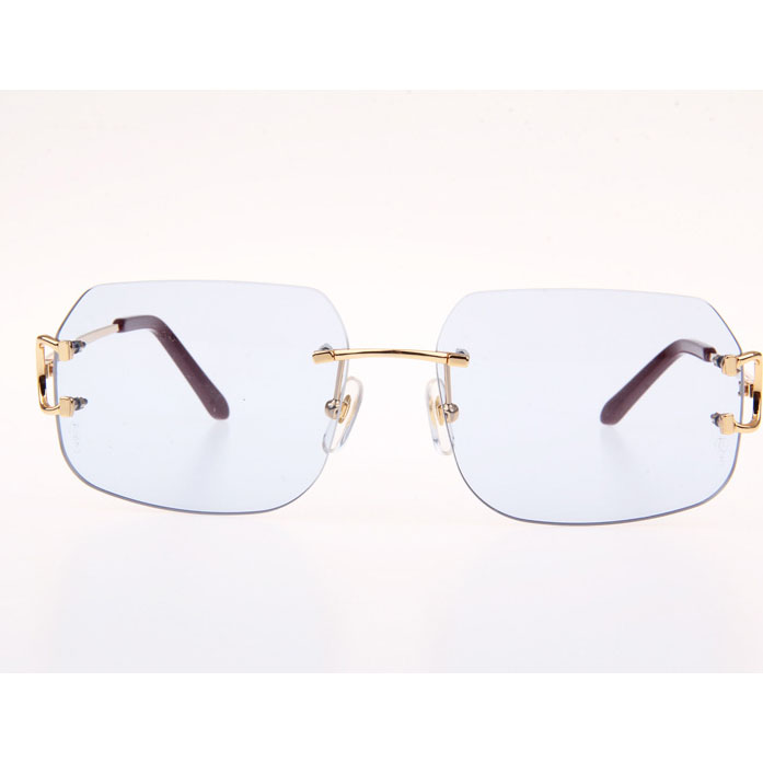 Cartier CT 4193833 Sunglasses In Gold Blue - FashionPlug