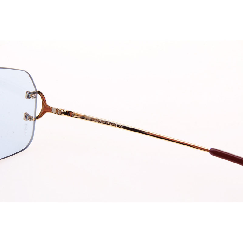 Cartier CT 4193833 Sunglasses In Gold Blue - FashionPlug