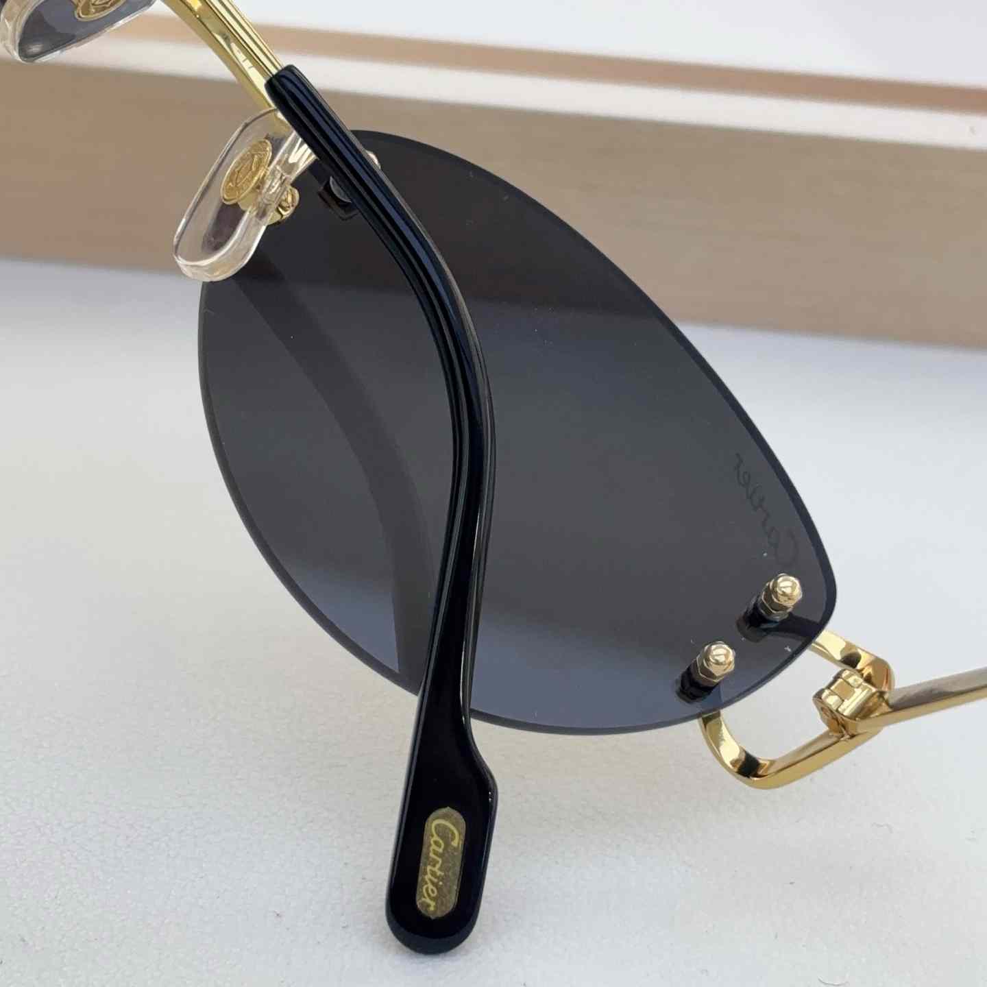 Cartier Sunglasses   CT0487O - FashionPlug
