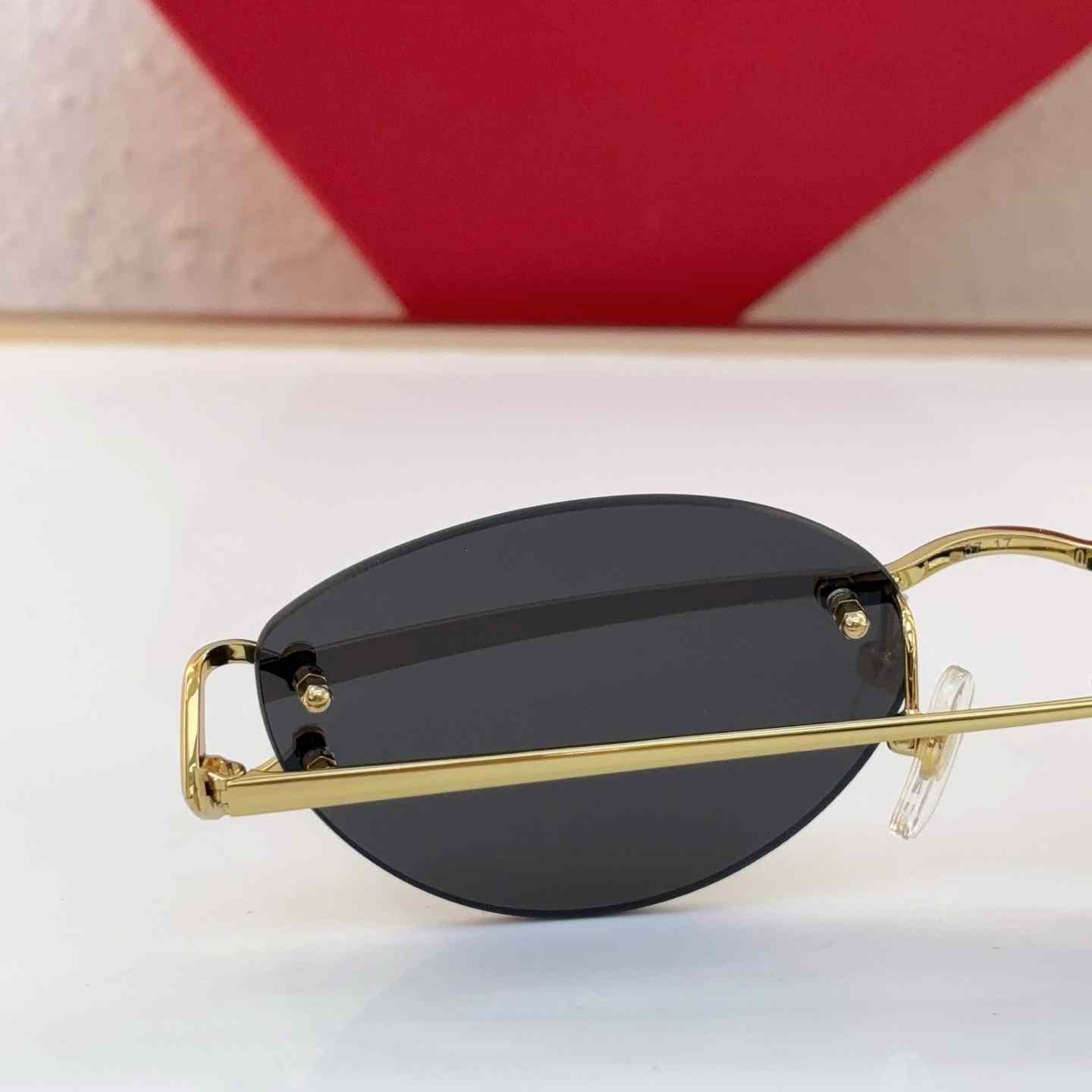 Cartier Sunglasses   CT0487O - FashionPlug