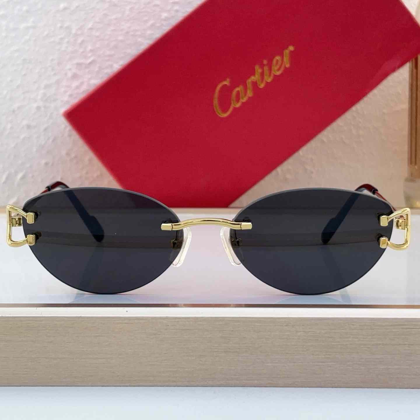Cartier Sunglasses   CT0487O - FashionPlug