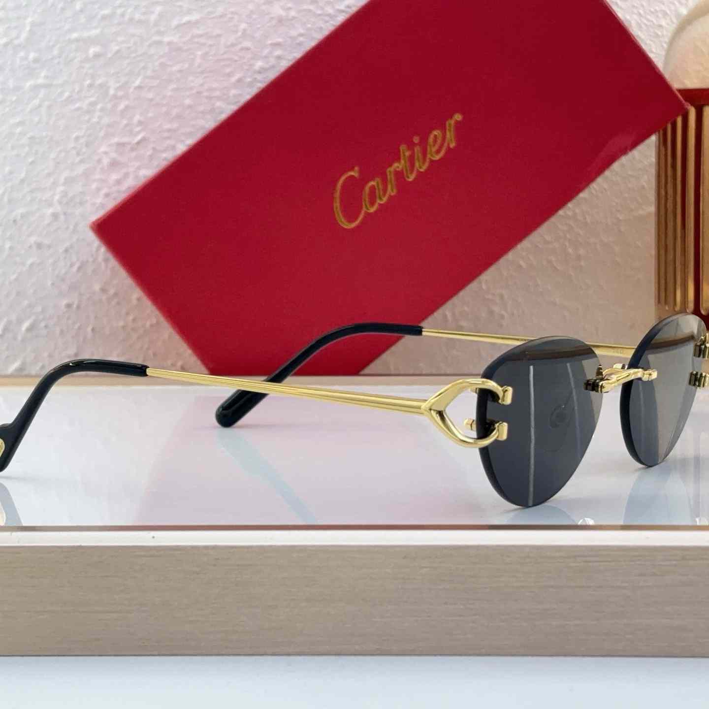Cartier Sunglasses   CT0487O - FashionPlug