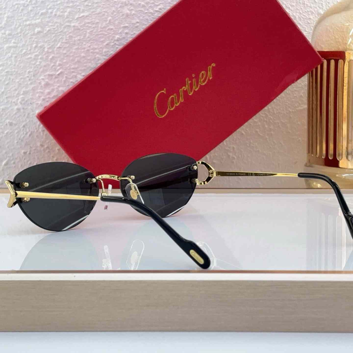 Cartier Sunglasses   CT0487O - FashionPlug
