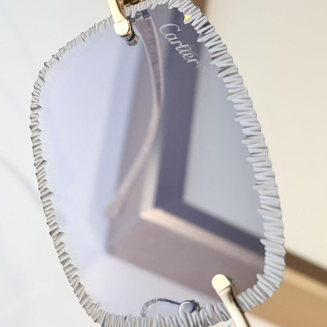 Cartier  CT0841S Sunglasses    - FashionPlug