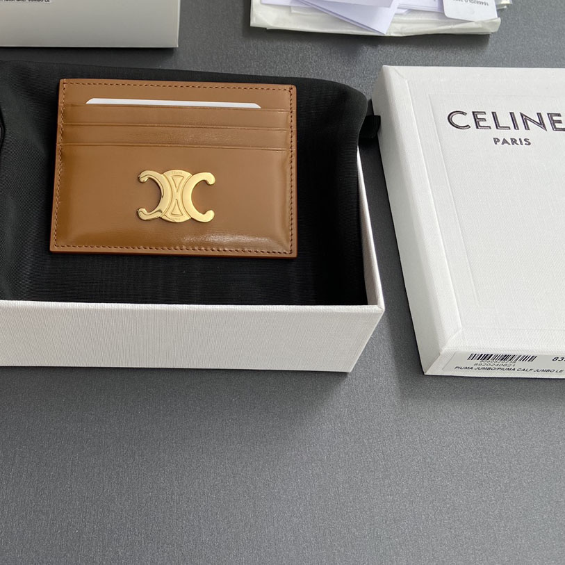 Celine Card Holder Triomphe In Shiny Calfskin  - FashionPlug