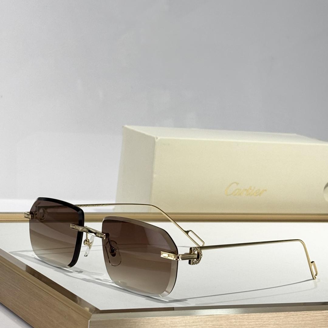 Cartier  CT01130 Sunglasses    - FashionPlug