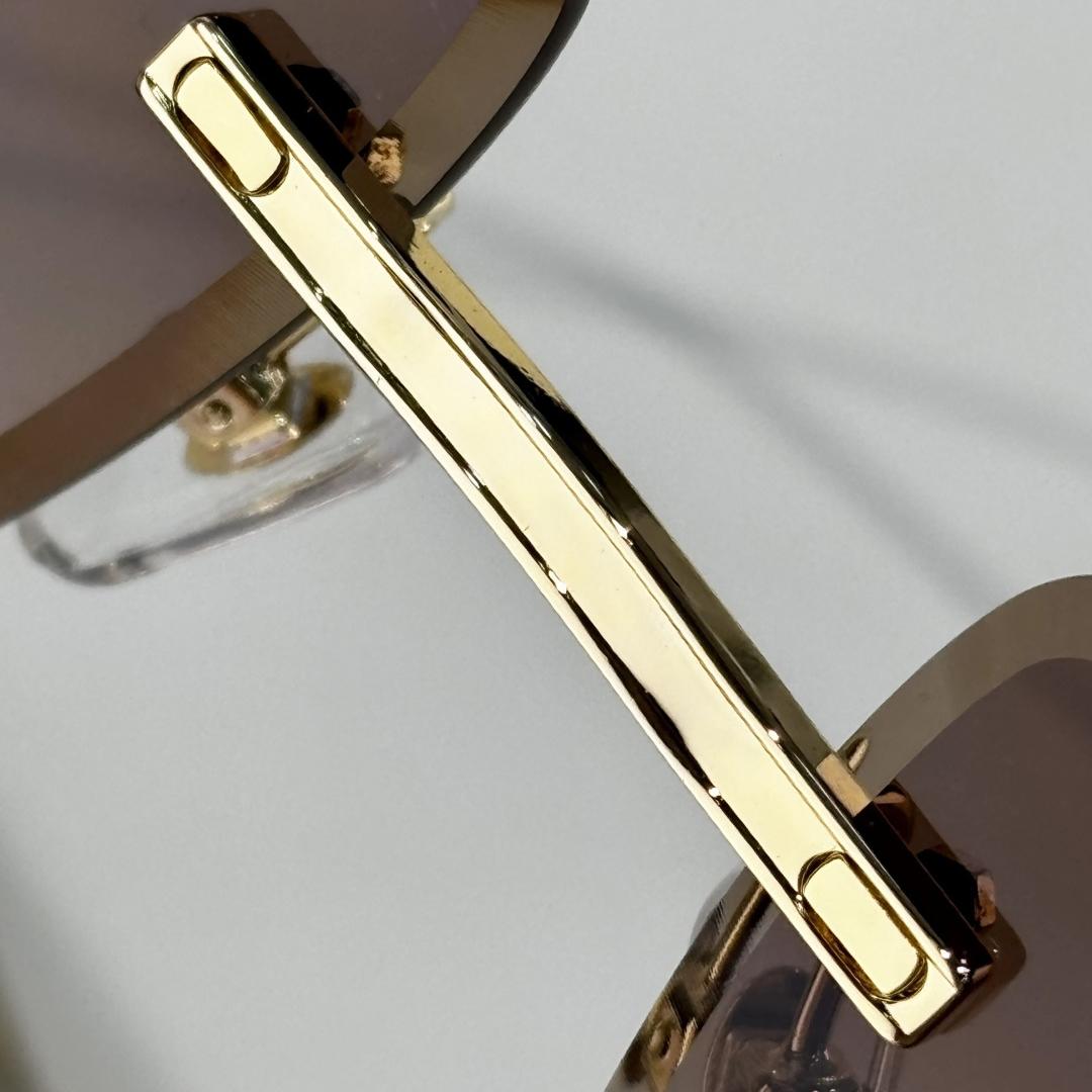 Cartier  CT01130 Sunglasses    - FashionPlug