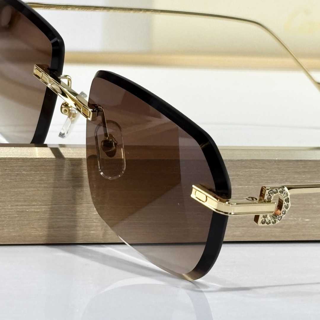 Cartier  CT01130 Sunglasses    - FashionPlug