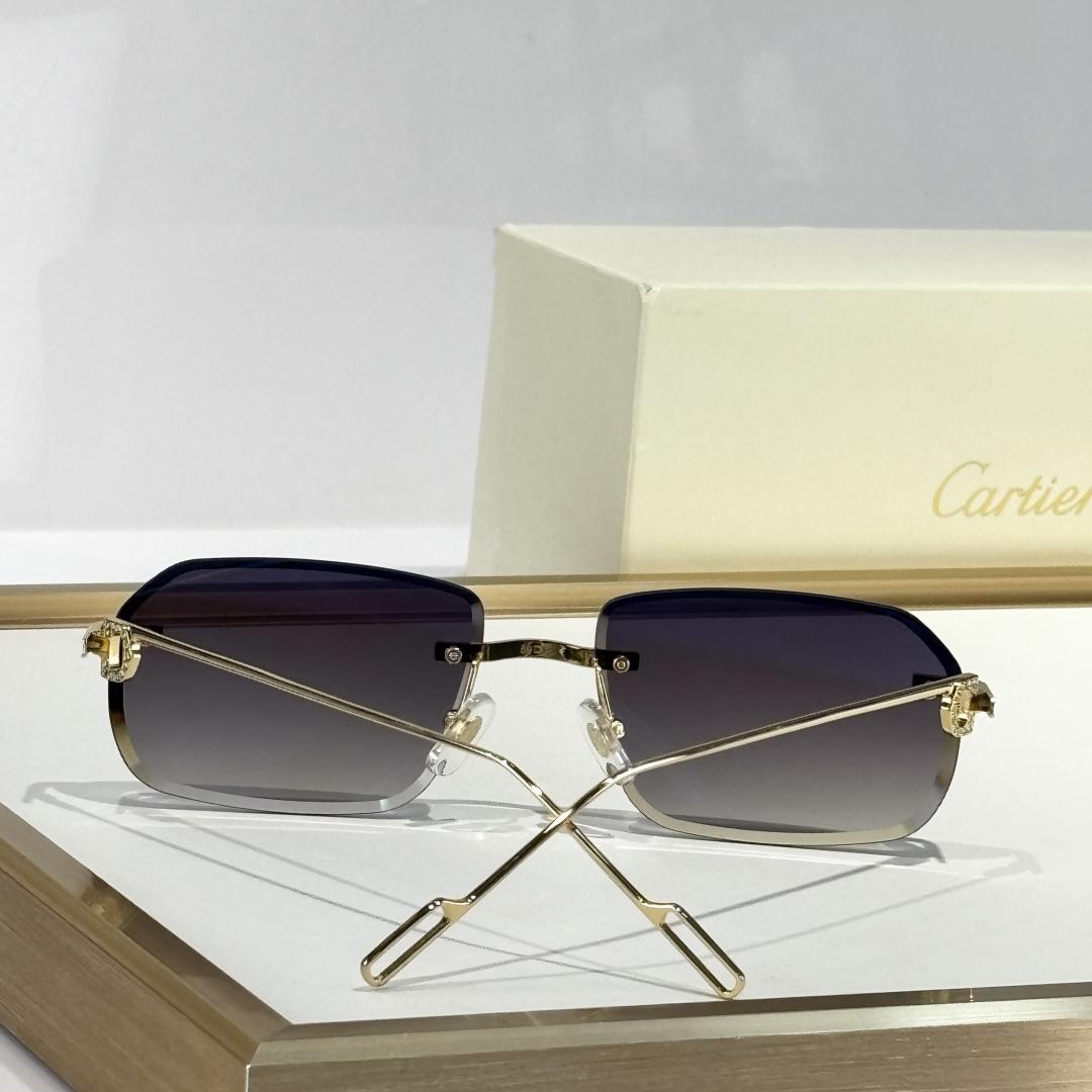 Cartier  CT01130 Sunglasses    - FashionPlug