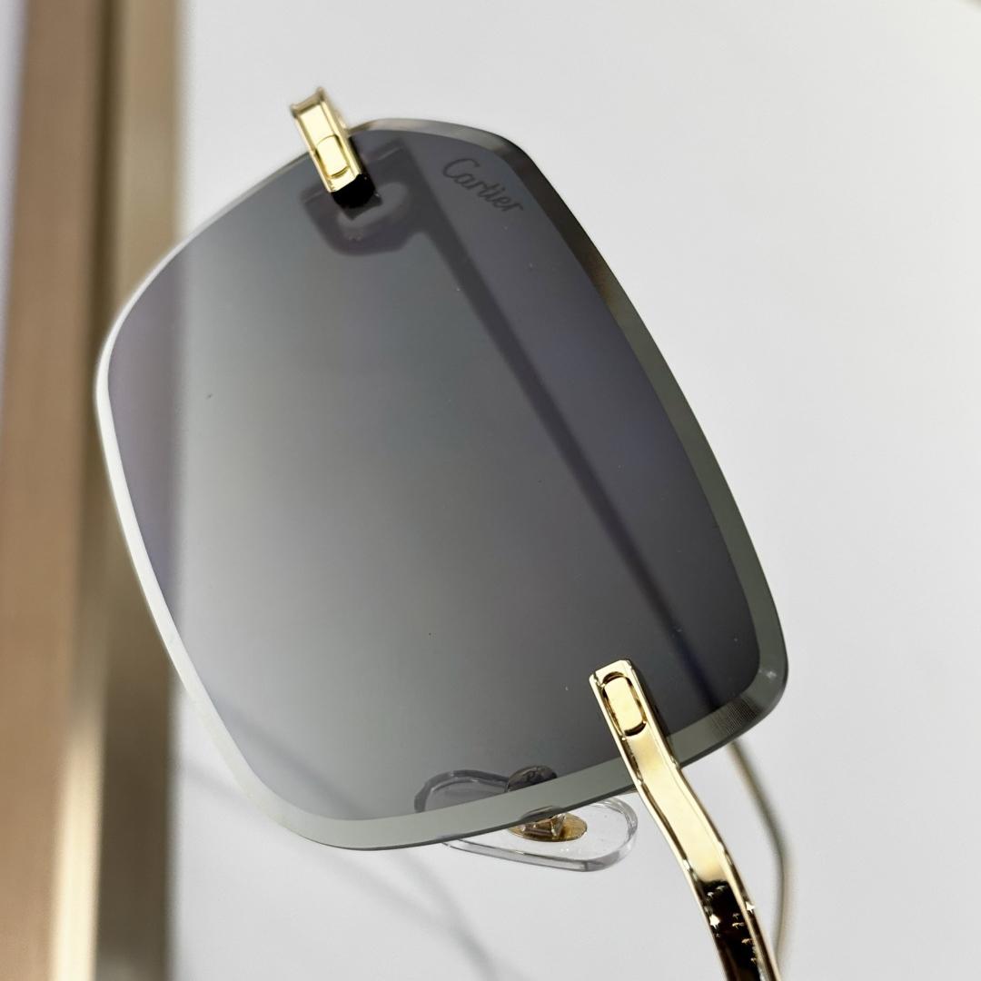 Cartier  CT01130 Sunglasses    - FashionPlug