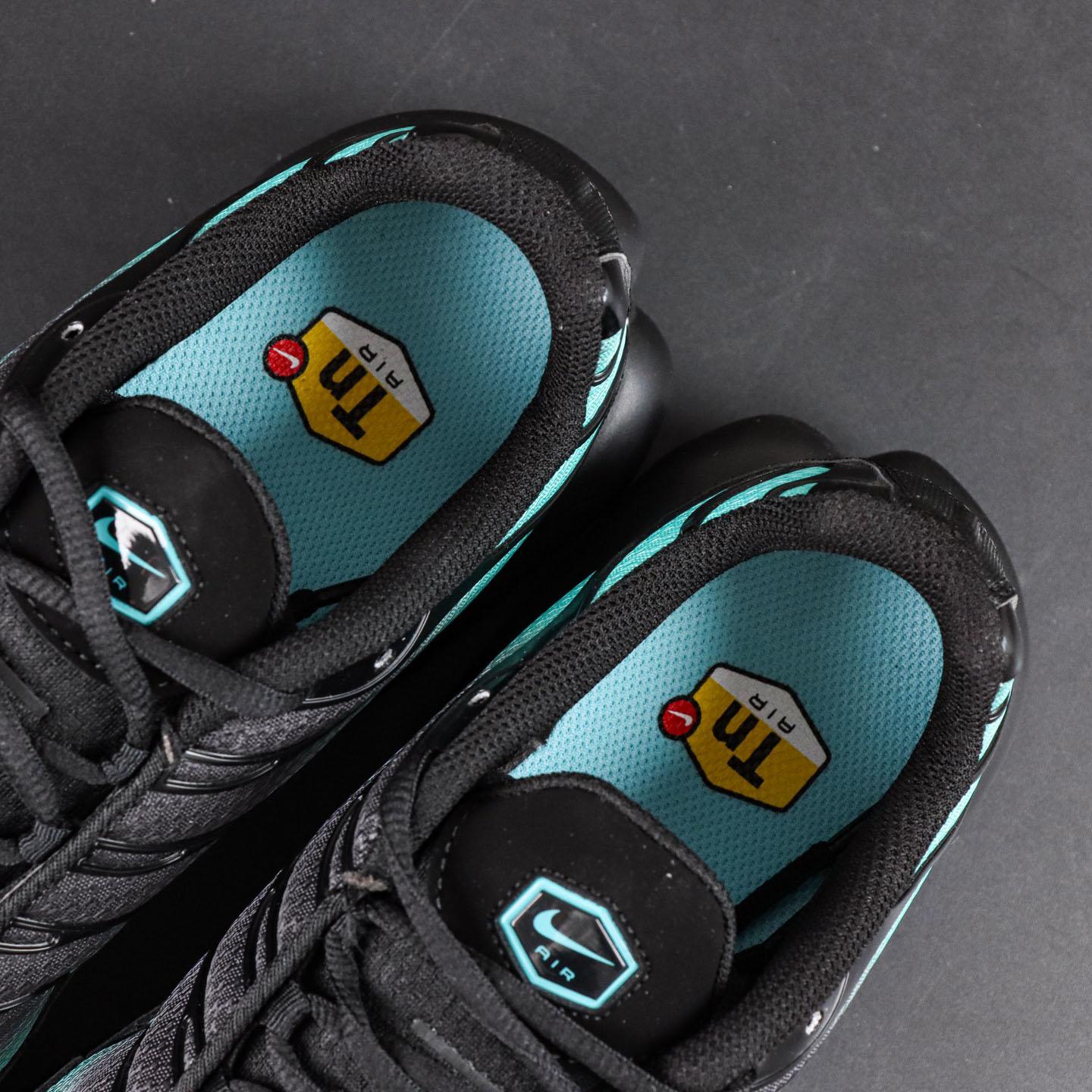 Nike Air Max Plus 'Black Dusty Cactus'  DM0032-016 - FashionPlug