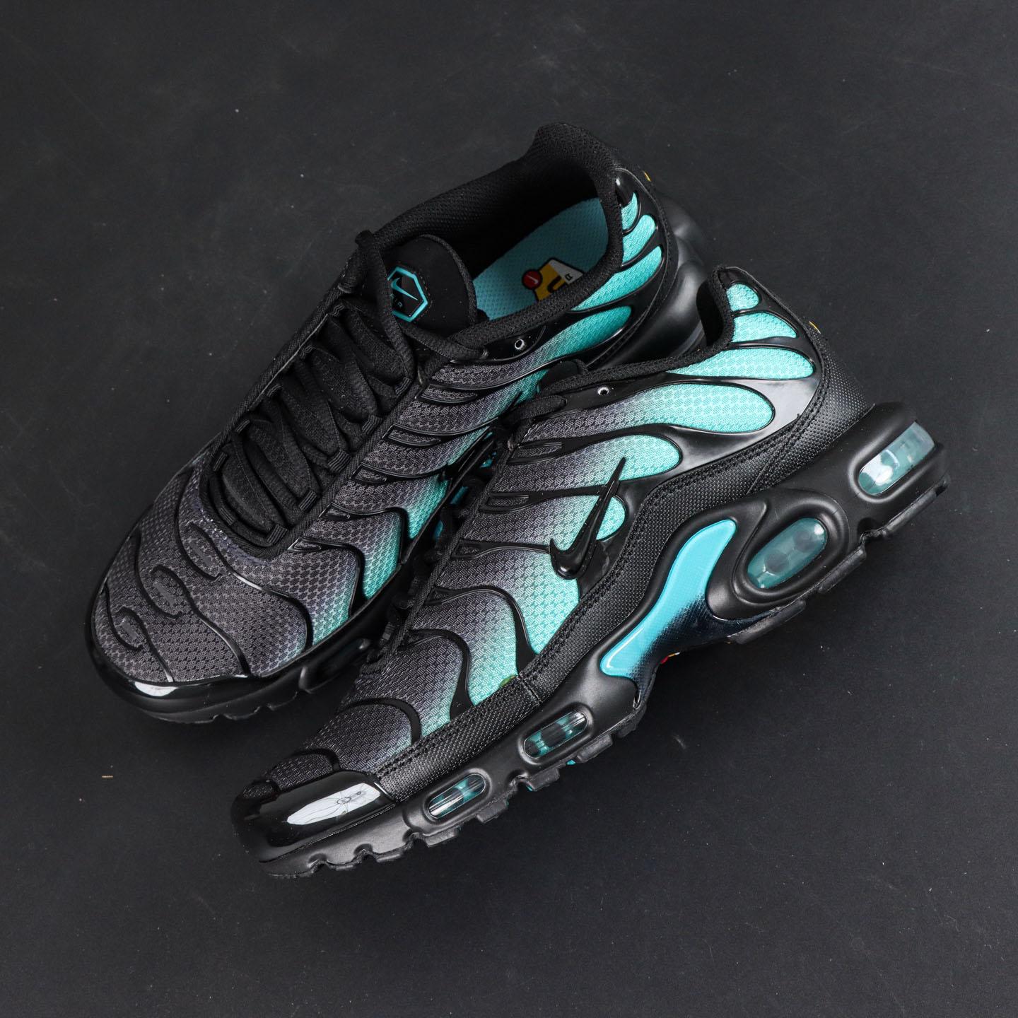 Nike Air Max Plus 'Black Dusty Cactus'  DM0032-016 - FashionPlug