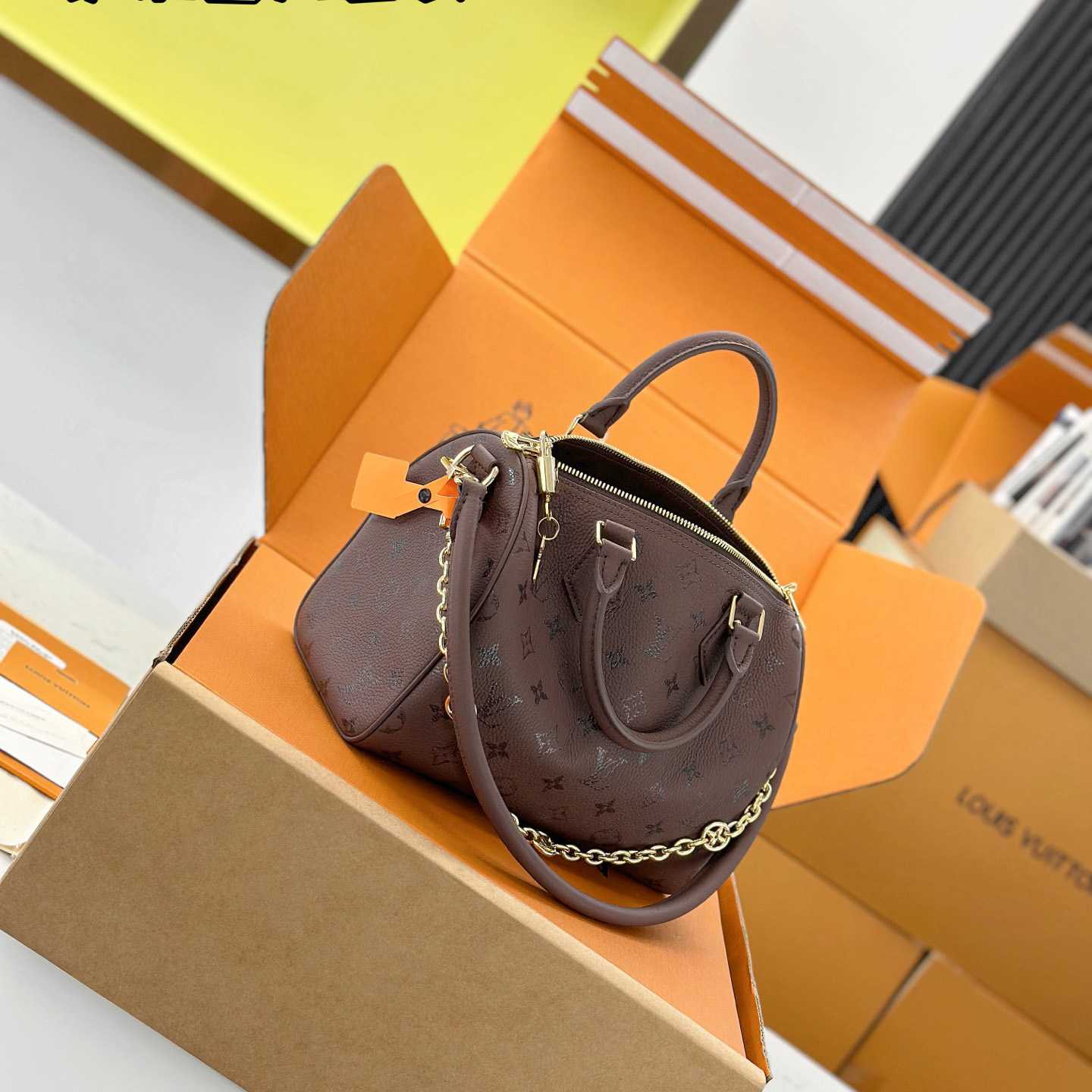 Louis Vuitton Speedy Bandoulière 25 M26691 - FashionPlug