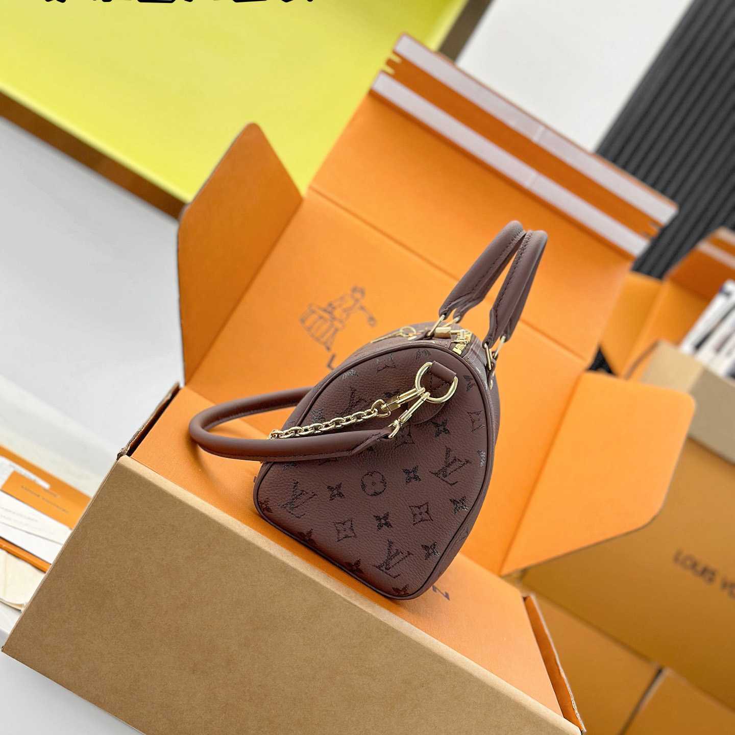 Louis Vuitton Speedy Bandoulière 25 M26691 - FashionPlug