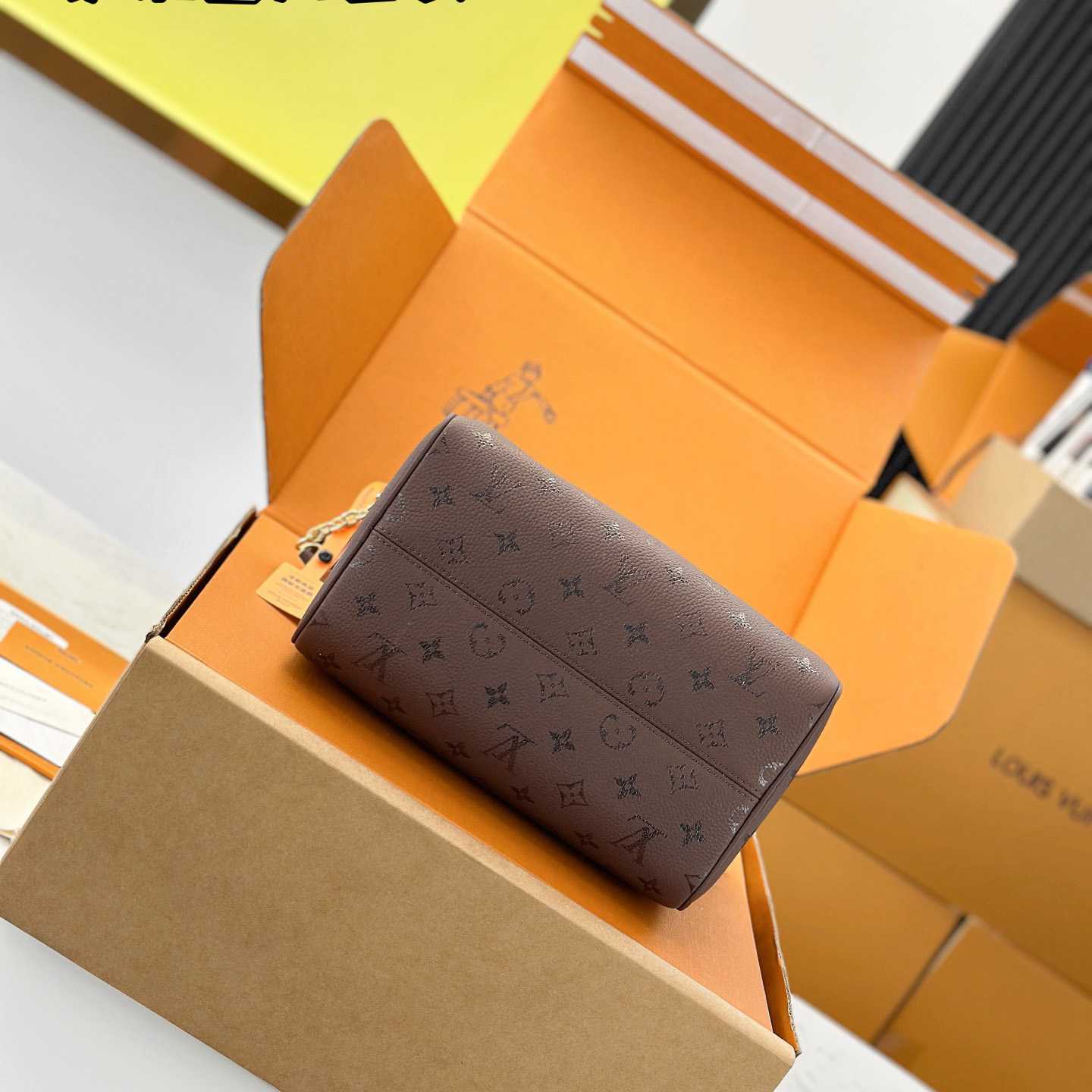 Louis Vuitton Speedy Bandoulière 25 M26691 - FashionPlug