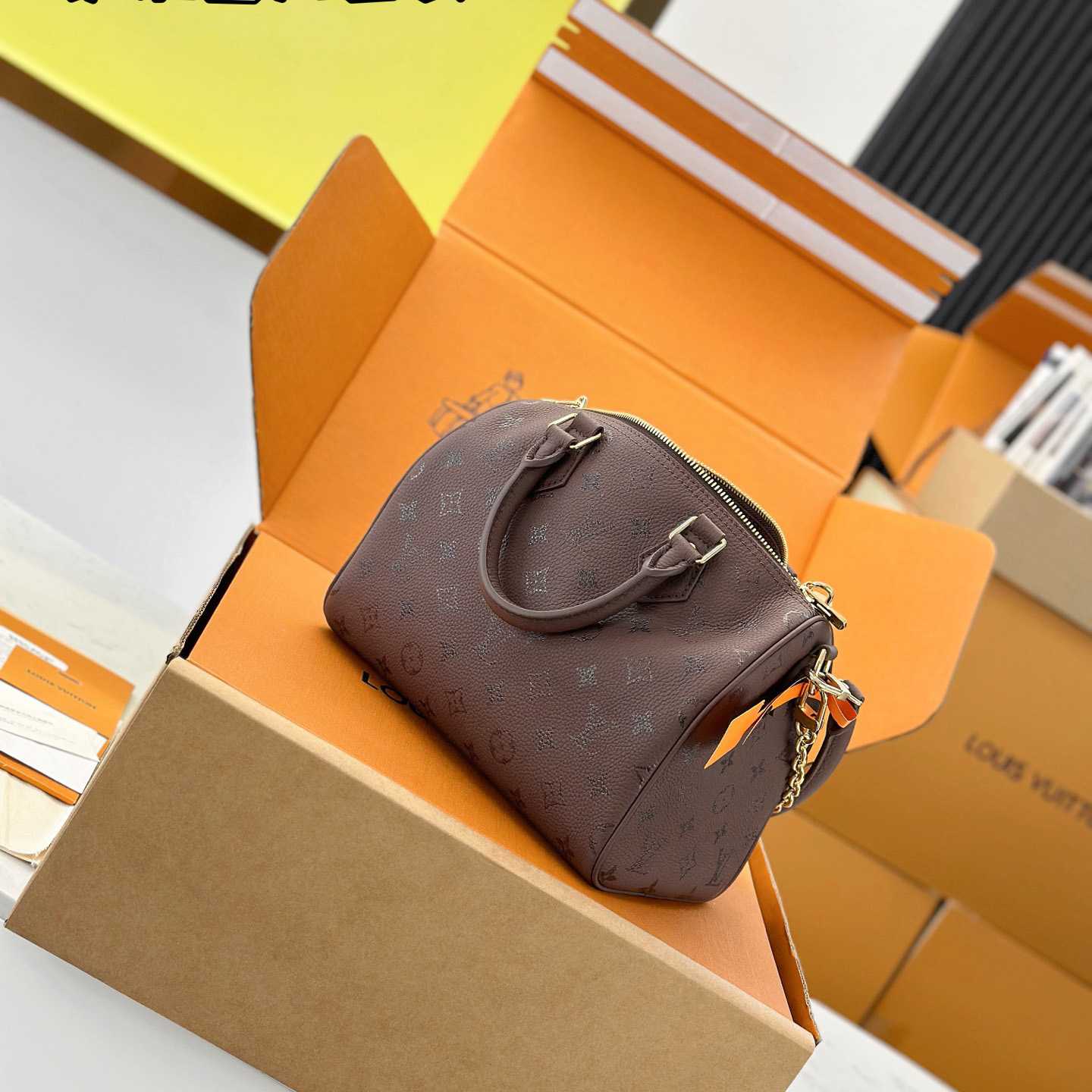 Louis Vuitton Speedy Bandoulière 25 M26691 - FashionPlug