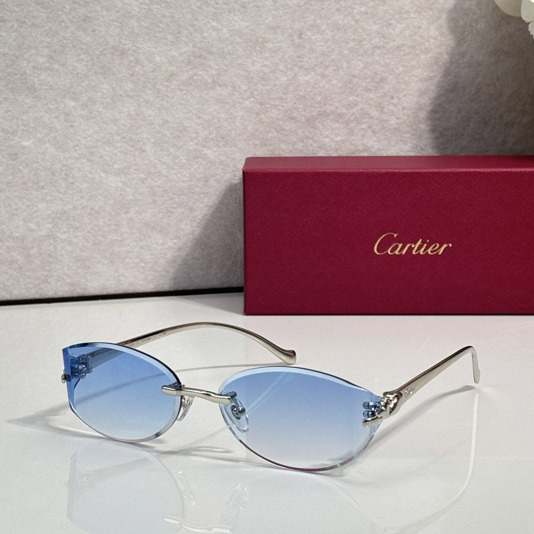 Cartier CT02039O  Sunglasses    - FashionPlug